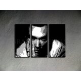  Ročno izdelana slika POP Art Morrisey 3-delna (POP ART slike) | Shoptok.si