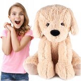 MEGA plišani slatki psić 60cm smeđi | shoptok.hr