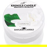 Kringle Candle Gardenia čajna sveča 42 g | Shoptok.si