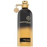 Montale Spicy Aoud parfumirana voda unisex 100 ml | Shoptok.si