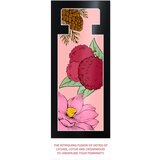 Mexx Black New toaletna voda za ženske 30 ml | Shoptok.si