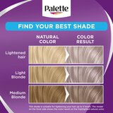 Schwarzkopf Palette Intensive Color Creme trajna boja za kosu nijansa 10-19 Cool Silver Blonde 1 kom | shoptok.hr
