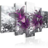  Slika - Princess of the Night 200x100 Cijene