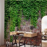  Foto tapeta - Brick and ivy 196x140 | shoptok.hr