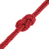 Lovetoy 2025 Vrv Lovetoy Rebellion Reign Crimson Red 10 M | Shoptok.si