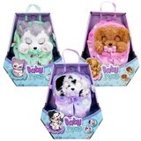  Baby paws asst ( IM921122 ) | ePonuda.com