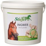 Stiefel Ingver Cene