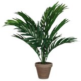  Umetna rastlina palma Areka (Višina: 45 cm, Zelena, Plastika) Cene