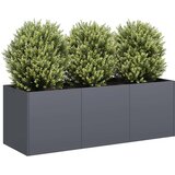  Žabica za biljke antracit boje 120x40x40 cm hladno valjani čelik | shoptok.hr