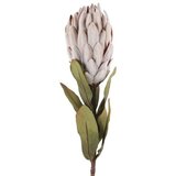 DEKOR DOM Veštačko cveće Protea 789508, 61 cm Cene
