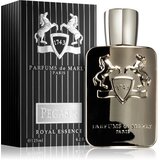 Parfums de Marly Pegasus parfumska voda uniseks 125 ml | Shoptok.si