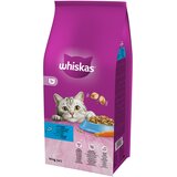 Whiskas 1+ tuna - 14 kg | shoptok.hr