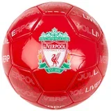 Liverpool N°5 lopta 5