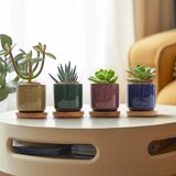 T4U 4x keramični lončki za sukulente z bambusovimi podstavki | Shoptok.si