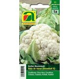  Cvetača "Bola de nieve" Cene