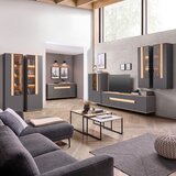 Dieter Knoll KOMODA, antracit, barve hrasta | Shoptok.si