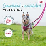 Povodac za pse Company of Animals Turkizno L | shoptok.hr