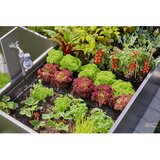 Gardena Micro-Drip-System Set za visokih navodnjavanje kapanjem greda / greda (35 biljaka), 13455-20 | shoptok.hr