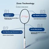 Li-Ning reket za badminton, crna Cene