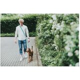 Povodac povodec nastavljiv za pse Hilo 20 mm/200 cm rdeča | Shoptok.si