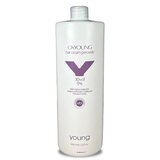 YOUNG Hidrogen 9%, 1 l Cene