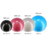  Yb01n 75cm azurna lopta za teretanu hms | shoptok.hr
