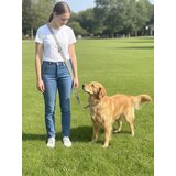 Sinsay Set povodca i ovratnika za psa s leopard uzorkom | shoptok.hr