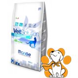 Monge VETSOLUTION Medicinska hrana za mačke bez žitarica Grain Free Dermatosis 1.5kg Cene