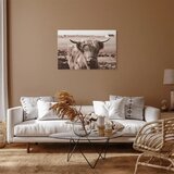  Slika - A Scottish Cow in Sepia 90x60 Akustična | shoptok.hr