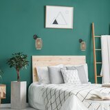 Rabalux Zidne svjetiljke - Adalla | shoptok.hr