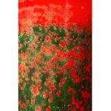 Baobab Collection Arty Flowers Poppies mirisna svijeća 1000 g | shoptok.hr