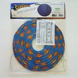  Papirni luster Superman, 30 cm | Eponuda.com