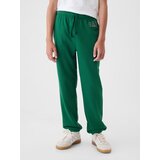 GAP Children's sweatpants Logo - Boys | Eponuda.ba