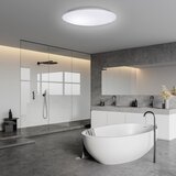  LED plafonsko svetlo za kupatilo AVESTA LED/18W/230V 4000K IP54 | Eponuda.com