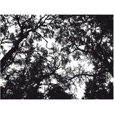  Tapeta - Bleak forest 400x309 | shoptok.hr