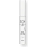 Brow Control - 01 Transparent
