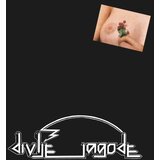POSNETI MEDIJI Divlje jagode - LP/Divlje jagode, (5000278894) Cene