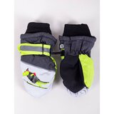 Yoclub Kids's Children's Winter Ski Gloves REN-0220C-A110 Cene