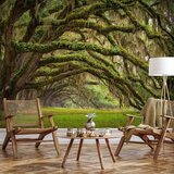  Foto tapeta - Tree embrace 147x105 | shoptok.hr