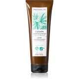 Phytorelax Laboratories Hemp šampon za telo in lase z regeneracijskim učinkom 250 ml | Shoptok.si