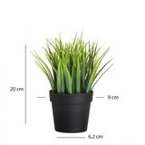 WALLXPERT Ukrasna saksija 241348, 21 cm, crna | Eponuda.ba