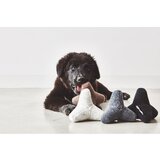 MiaCara Igračka za psa Quattro Greige M/L – | shoptok.hr