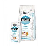 Brit Fresh Fish with Pumpkin Adult Large Muscles & Joints - hrana sa svežom ribom za odrasle pse velikih rasa (2,5kg, 12kg) 2,5kg | Eponuda.com