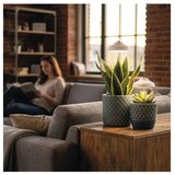  LED unutrašnja lampa za uzgoj biljaka GROW LED/5W/5V | Eponuda.com