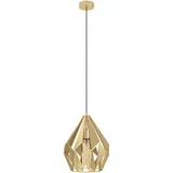 Eglo 43814 - Luster na sajli CARLTON 1xE27/60W/230V prečnika 31 cm