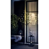 Olimp Sport svetlece drvo alsi V160cm sa 480LED i tajmerom Cene