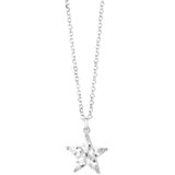  Verižica ženska Radiant RY000044 | Shoptok.si