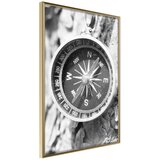  Poster - Where to Go? 20x30 | shoptok.hr