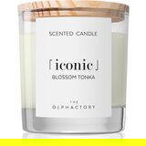 The Olphactory Iconic Blossom Tonka dišeča sveča 200 g Cene