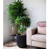 Capi Korito Groove 35x34 črna in zlata | Shoptok.si